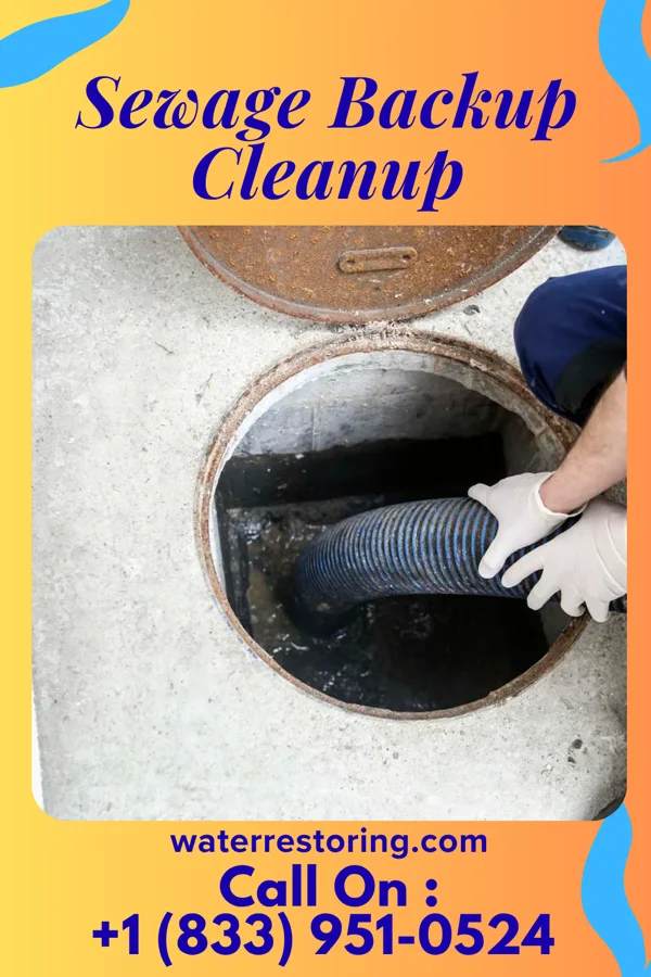 Sewage Backup Cleanup in Prairie du Chien, WI
